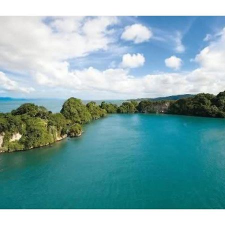 Room In Guest Room - Best Bed And Breakfast In Samana Breakfast Included Екстер'єр фото