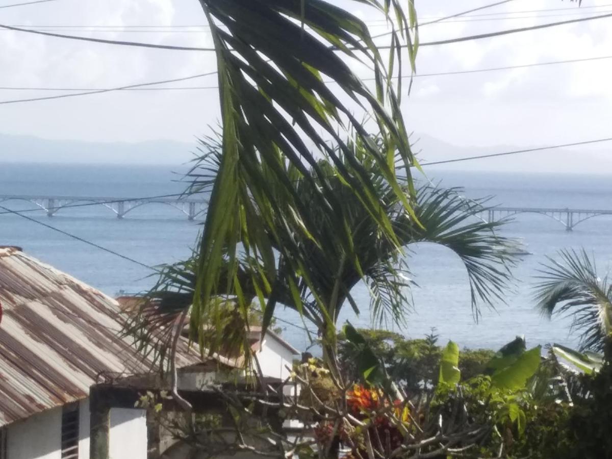 Room In Guest Room - Best Bed And Breakfast In Samana Breakfast Included Екстер'єр фото